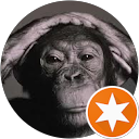 Hayden Edwards profile picture